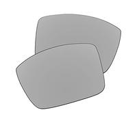 EZReplace Lentes de repuesto compatibles con gafas de sol Arnette Prydz AN4253-61 mm (lentes polarizadas), Metal plateado., Taille unique