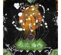 F Ampism - The Vertical Luminous [Vinilo]