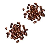 F Fityle 2x100pcs Bellotas Naturales Cordillas de Bellotas Reales Inicio DIY Navidad Natural Bellota