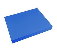 F Fityle Almohadilla de equilibrio Cojín de equilibrio Suave antideslizante 40 cm x 33 cm Rodillera para ejercicio Entrenador de estabilidad para entrenamiento, Azul oscuro