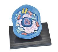 F Fityle Animal Cellular Modelo Kits Educational Science Kits Stem Modelo Experimental Modelo anatómico Suministro de enseñanza para Estudio