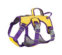 F Fityle Arnés de Control para Perros, Chaleco con Visibilidad Nocturna, Diseño Ajustable para Mascotas, S