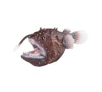 F Fityle Figura de Pescador, de Las Profundidades Marinas, Juguete para Niños, Decoración de Escritorio, Modelo de Animal Marino, Recuer