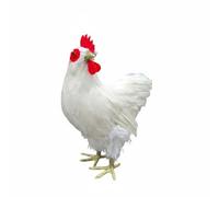 F Fityle Figura de Pollo de Granja Estatua de Ave Adorno de Escultura de Gallo con Plumas Reales Hecha a Mano Material de Piel y, Gallina Blanca De Pie con Cabeza Girada Número Tres