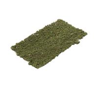 F Fityle Modelo de césped con de Hierba, Resistente y multifunción, para maquetas de dioramas, vías de ferrocarril, Type C