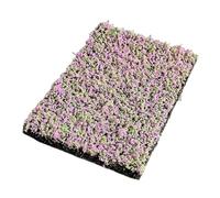F Fityle Racimos de Flores en Miniatura para Hacer Mismo, Grupos de vegetación, de Hierba, escenarios para maquetas de Trenes, Casas de muñecas, Erica Carnea