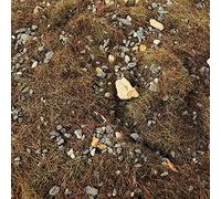 F Fityle Vegetación Simulada para Paisaje Miniatura Cubierta de Plantas Accesorios para Sand Table Decoración Escenario Material Natural Adecuado para Casa de, Hierba de otoño