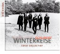F. Schubert - Winterreise
