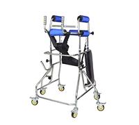 F&T Stroke Hemiplegic Walking Frame, Walker de pie, equipo de rehabilitación para adultos con seis ruedas
