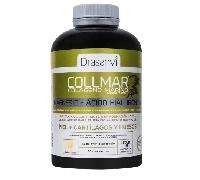 F24 Collmar Limon Mast 28Co Drasanvi