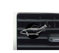 F8 Grayling Fish - Kit de ambientador para coche, furgoneta, camión, mini autobús
