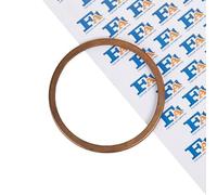 FA1 101-958 Junta anular, tubo de escape