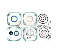 FAAC Kit Juego Completo Juntas Motores Hidráulicos Serie S450H 24V 63000606