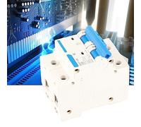 Fabater Interruptor de Protección contra Fugas de 400 V 80/100/125 A DZ47-125 Disyuntor en Miniatura 2P con Protección contra Sobrecarga y Cortocircuito, Respuesta Rápida de 0,1 S, Carcasa (C100A)