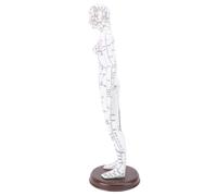 Fabater Modelo de Acupuntura Exquisito Modelo de Acupuntura del Cuerpo Humano con Fuentes Claras para la Enseñanza de de de Cuerpo Completo para Estudiantes/practicantes (Tipo de mujer)