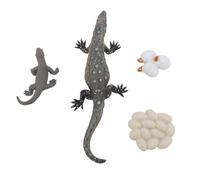 Fabater Modelo Educativo de Juguete de Ciclo de Vida de Lagarto de PVC, Juego de Figuras de Reptiles Realistas para Aprender sobre Ecosistemas, 4 Piezas Ideales para Lecciones de Biología en Las
