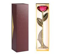 Fabater Rosa de Oro de 24 Quilates en Caja de Regalo con Soporte, Tallo de 11 a 12 Pulgadas de Largo, Rosa Real Sumergida, Regalo de Amor para Siempre Preservado para Ella, Cumpleaños, Día de San