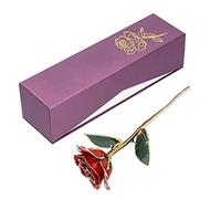 Fabater Rosa de Oro de 24 Quilates Sumergida para Regalo del Día de San Valentín, Decoración Creativa de Boda de Cumpleaños para Novia, Esposa con Base, Rosa Roja Preservada para Siempre