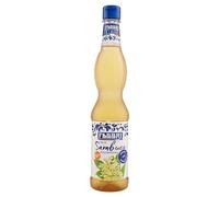 FABBRI 1905 - Sirope de Flor de Saúco. Aroma Natural de Flor de Saúco para Bebidas Refrescantes, para Adornar Helados, 560ml