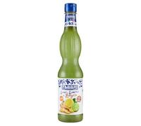 FABBRI 1905 - Sirope de lima. Sabor natural a limón y jengibre para bebidas refrescantes, como guarnición de helados o para perfeccionar recetas de cocina y repostería, 560ml
