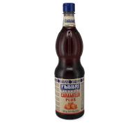 Fabbri | Sirope de caramelo Plus - 1 l