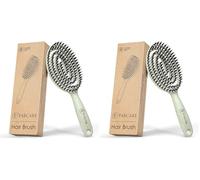 FABCARE Cepillo con Cerdas de Jabalí, Desenredante Sin Tirones, Peine Antitirones para Pelo Liso y Rizado, Alisador Antirotura Profesional, Ideal para Cuidado Capilar Diario (Verde) (Paquete de 2)
