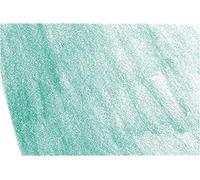 Faber-Castell Polychromos - Lápices de colores para artistas, color Óxido de cromo verde Fiery Nicht zutreffend