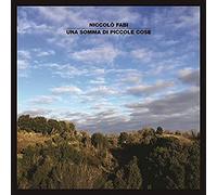 Fabi Niccolo' - Una Somma Di Piccole Cose
