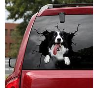 fabisup Adhesivo decorativo 3D para coche, ventana, parachoques, frontera, collie, vinilo, perro, refrigerador, vidrio