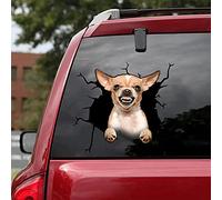 fabisup Adhesivo decorativo 3D para ventana de coche, diseño de perro chihuahua, vinilo agrietado.