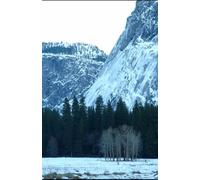 Fables For the Age of Noise