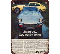 Fabri.YWL Cartel de metal retro retro de aluminio vintage de 1973 Jaguar XK-E de 8 x 12 pulgadas