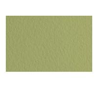 Fabriano Tiziano Muschio-Papel Pastel, DIN A4, 50 Hojas, 160 g/m², Alta Resistencia, sin ácidos y Resistente al envejecimiento, Superficie Rugosa, Acrílico