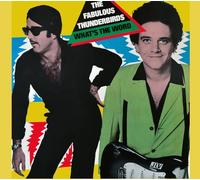 Fabulous Thunderbirds - What's The Word?
