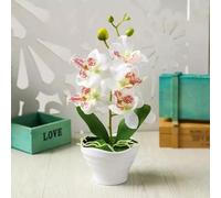 FACAIIO Acoplador de conexión rápida de acero inoxidable de 1 10 cm para simulación artificial, bonsái, orquídea, florero, maceta, decoración del hogar