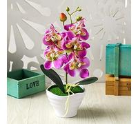 FACAIIO Bonsái artificial de orquídea Phalaenopsis con 5 cabezas de flores de seda en maceta de plástico para decoración del hogar, oficina, boda, fiesta, jardín, 27 cm de altura