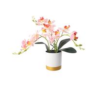 FACAIIO Bonsái artificial Phalaenopsis con maceta con borde de oro blanco, 13 pulgadas de alto, planta de orquídea falsa para decoración del hogar y la oficina, flor de plástico en maceta