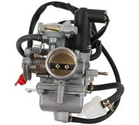 FACAIIO Carburador de 250 CC con entrada de 30 mm para motores CH125/CH150/CH250, kit de repuesto de aleación de zinc de 4 tiempos para scooters, ciclomotores, ATV, Go-Karts