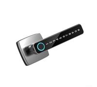 FACAIIO Cerradura inteligente de huellas dactilares para puertas de madera de interior de oficina, aleación de zinc, cerradura de puerta inteligente con contraseña y llave, para agujero de bloqueo