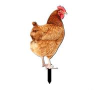 FACAIIO Estatua acrílica de jardín de pollo, resistente a la intemperie para decoración artística para césped al aire libre, escultura realista de gallo para patio trasero, 1 paquete (A)