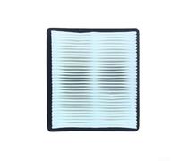 FACAIIO Filtros de repuesto reutilizables para ProTeam 107315 para Super para COACH Pro 10/Pro 6/para GoFree para FLEX Pro/para PROVAC FS 6, filtro HEPA lavable (paquete de 2)