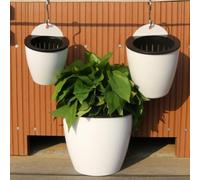 FACAIIO Maceta colgante con riego automático, resina de plástico con diseño transparente, fácil visualización del nivel de agua, 110# o 130#, blanco/transparente