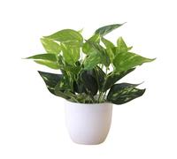 FACAIIO Planta de bonsái artificial con maceta, 22 cm, follaje de plástico, decoración del hogar, restaurante, hotel y decoración, color verde realista