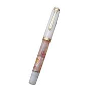 FACDEM Pluma estilográfica de pistón acrílico con clip dorado, suave y liso, punta Schmidt n.º 5, tinta para estudiantes, escritura de regalo (rosa, Schmidt B (1,0 mm)