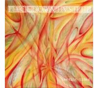 Face Down in Shit - Passing Times