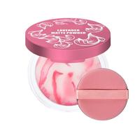 Face Powder, Matte Setting Powder, Waterproof Professional Primer Concealer Foundation, Long-Lasting Cosmetics Full Coverage for Under Eye, Women Oily Skin, Travel Makeup, 10g