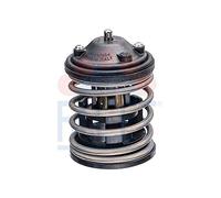 FACET 7.8762 Termostato refrigerante con junta sin conectores 87°C