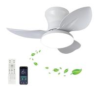 Fachae Pequeño Ventilador Techo Con Luz Y Mando A Distancia Mute Reversible 6 Velocidades Ceiling Fan With Light Temporizador Led Regulable Lámpara Ventilador Techo