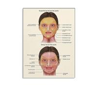 Facial Fat Pads and Anatomy Poster Wall-Art for Surgeons Dermal Filler Training Clinic Decor(Unframed,12x18inch(30x45cm))