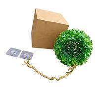 FackLOxc Tanques Colgantes Bolas de Hierba Escondites Cueva para Mascotas Pequeñas y Selvas Tropicales Decoración de Vivarium Terrario Accesorios de Paisaje Terrarios Accesorio de Paisaje